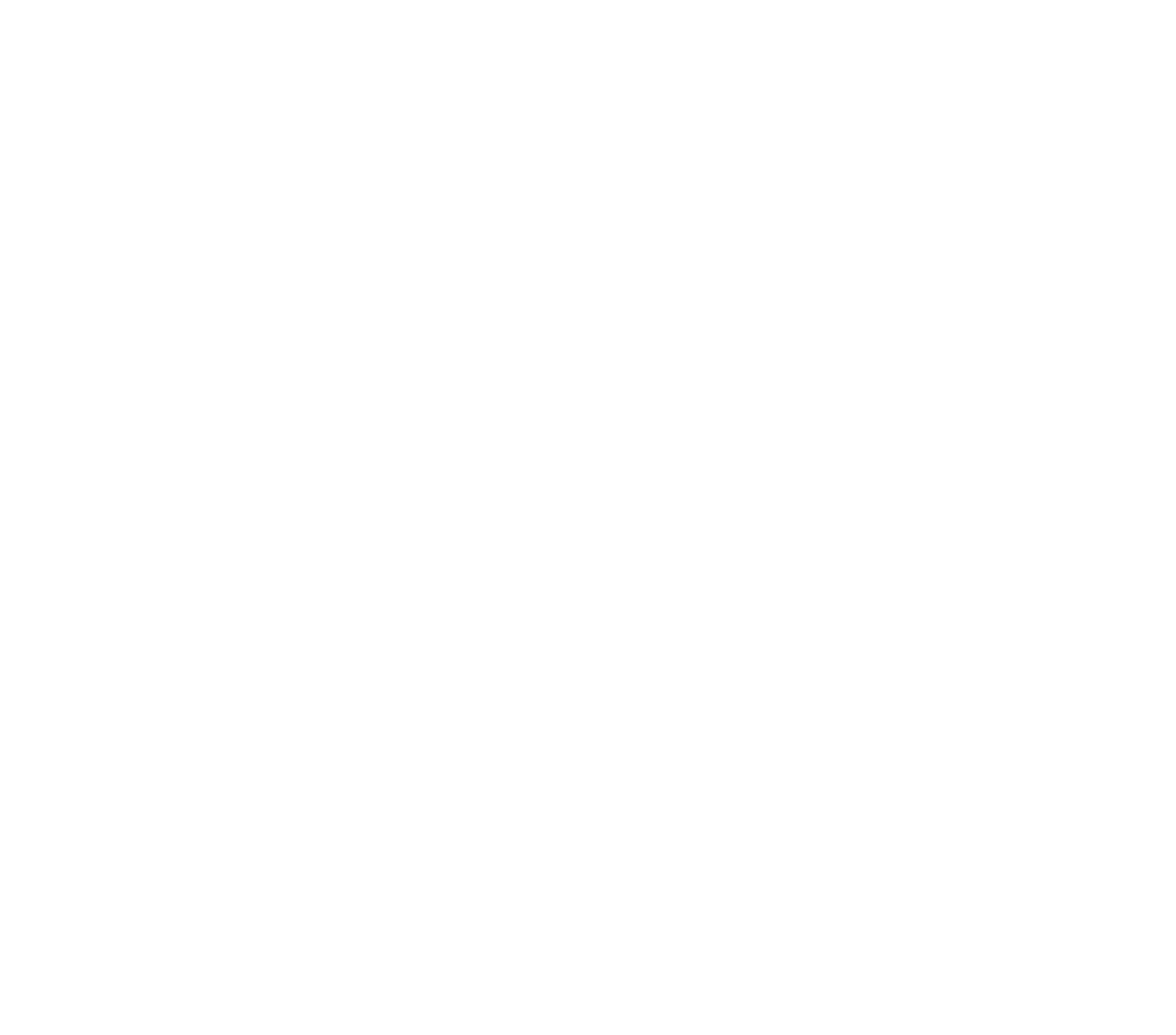 dx-neu-web-weis@3x
